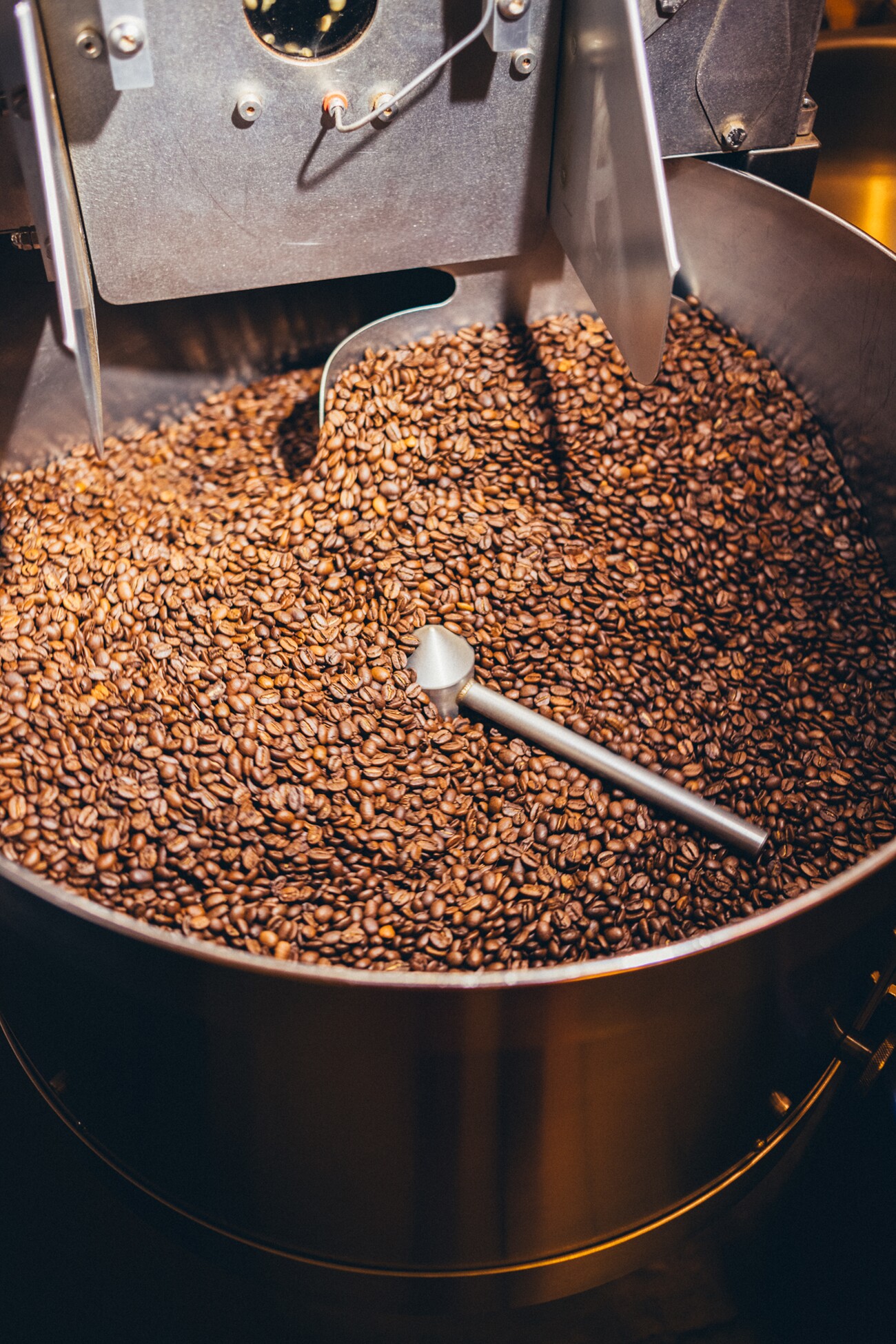 Frisch geröstete Kaffeebohnen kühlen im Loring-Röster der PASSENGER Coffee Rösterei in Berlin.