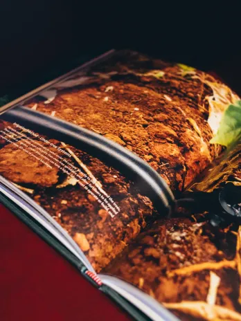 Aufgeschlagenes Buch „Terroir“ mit großformatigem Foto von Kaffeeboden