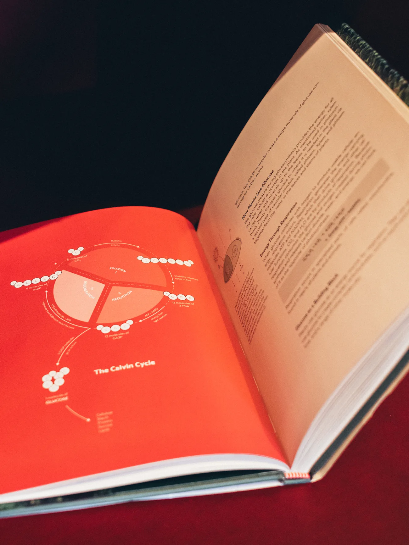 Aufgeschlagenes Buch „Terroir“ mit roter Infografik
