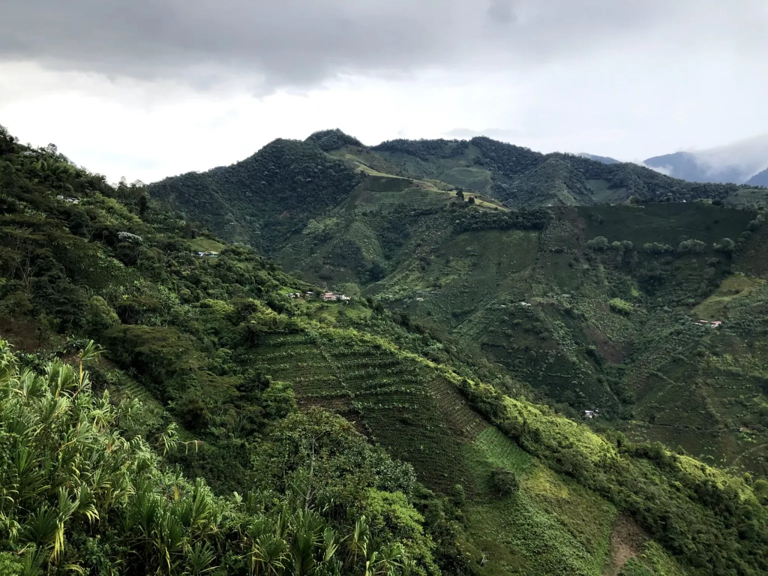 Grüne Berglandschaft mit Kaffeeanbau unter Wolken in Kolumbien