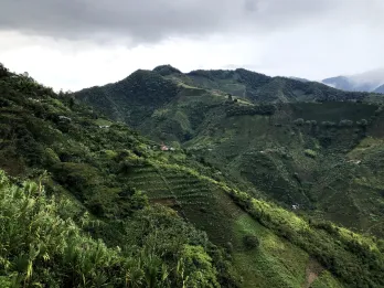 Grüne Berglandschaft mit Kaffeeanbau unter Wolken in Kolumbien