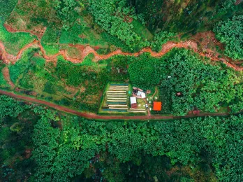 Luftaufnahme der Vunga-Waschstation in Ruanda inmitten grüner Hügel